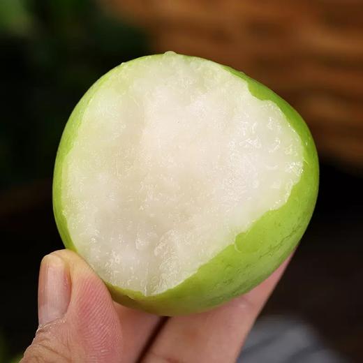 新鲜水果  脆嫩多汁 云南牛奶青枣 8个/盒 商品图1