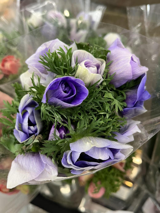 国产花材-【银莲花】紫白色 商品图1