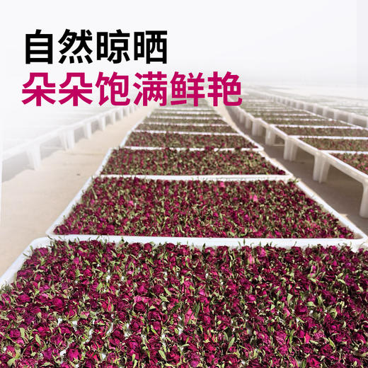 西域美农新疆和田玫瑰花 重瓣红玫瑰花 泡水70g 罐装 商品图3