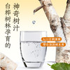 轻上白桦树乌龙茶无糖茶饮品原茶真萃健康清爽400ml 商品缩略图4