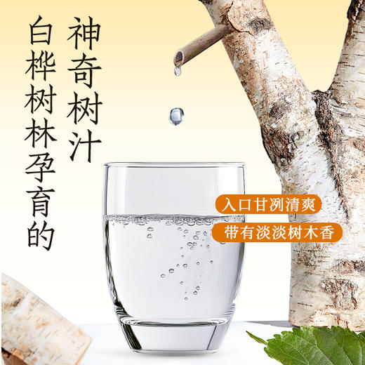 轻上白桦树乌龙茶无糖茶饮品原茶真萃健康清爽400ml 商品图4