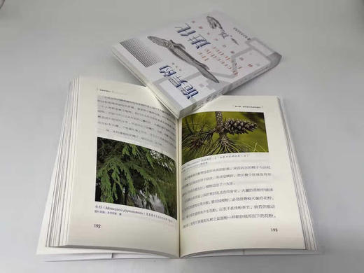 诡异的进化 商品图4