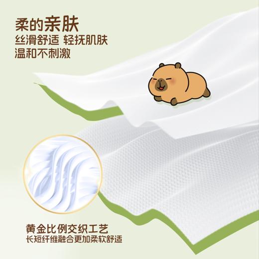 【官方自营】清风4层5张30包手帕纸卡皮巴拉小黄豚联名 商品图3