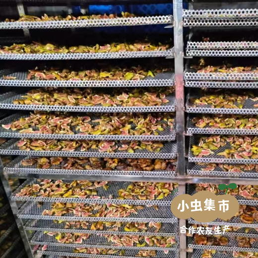 生态青皮无花果干 86g /罐 | 合作农友生产，产自山东威海，生产者：刘树杰 ＆【公平贸易农人定价】 商品图8