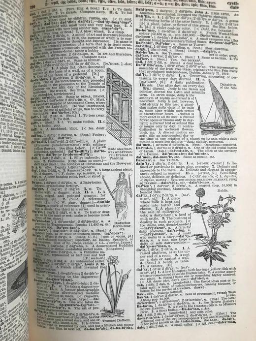 1928年 实用标准英语大词典 2500幅插图 全真皮精装16开 商品图10