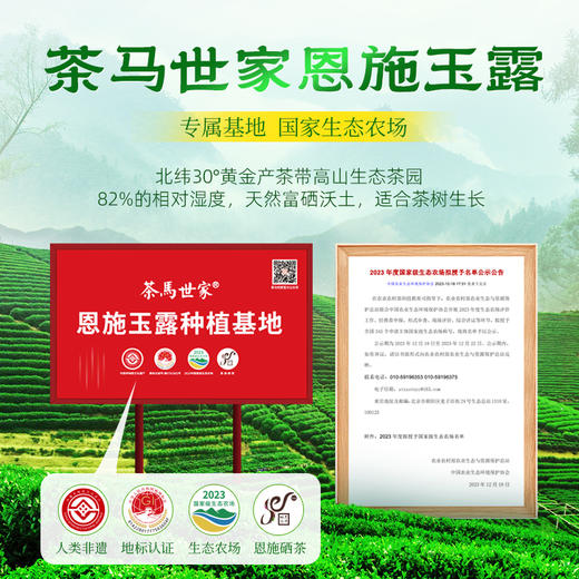 【2026新茶】恩施玉露开园头采春茶明前特级精选高山富硒茶非遗蒸青绿200g茶云山雅静礼盒装 CM 商品图6