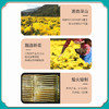 茯济堂花中皇后金丝皇菊 商品缩略图3