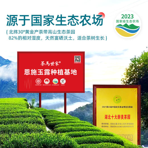 【2026新茶】恩施玉露头采春茶明前特级优选富硒高山茶非遗蒸青绿茶150g国风如意高档礼盒 CM 商品图2