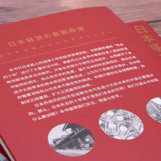 失去的十年：解读日本经济长期停滞的谜团（精装典藏版） 商品图5