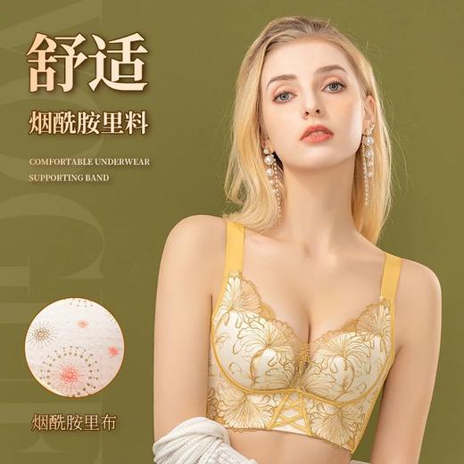 【圣迪班尼-夜皇后2.0】调整型小胸聚拢上托内衣23334 商品图1