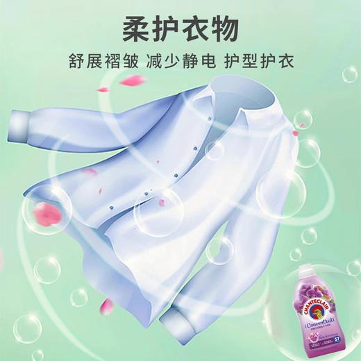 CHANTECLAIR 大公鸡管家浓缩柔顺剂牡丹玉兰花（1140ml） 商品图4