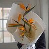《展翅高飞》鹤望兰天堂鸟花束 商品缩略图5