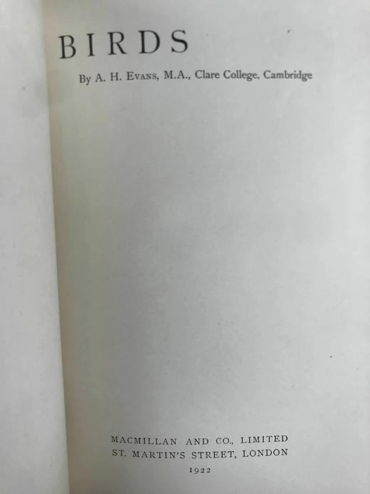 1922年 鸟类图鉴 数百幅插图 真皮精装大32开 商品图2