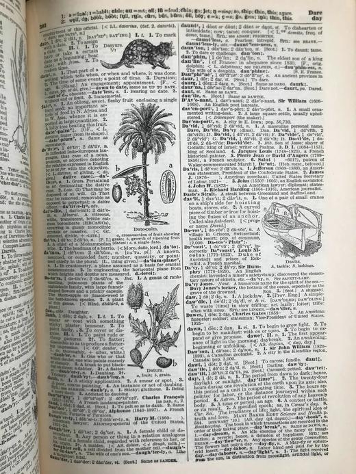 1928年 实用标准英语大词典 2500幅插图 全真皮精装16开 商品图9