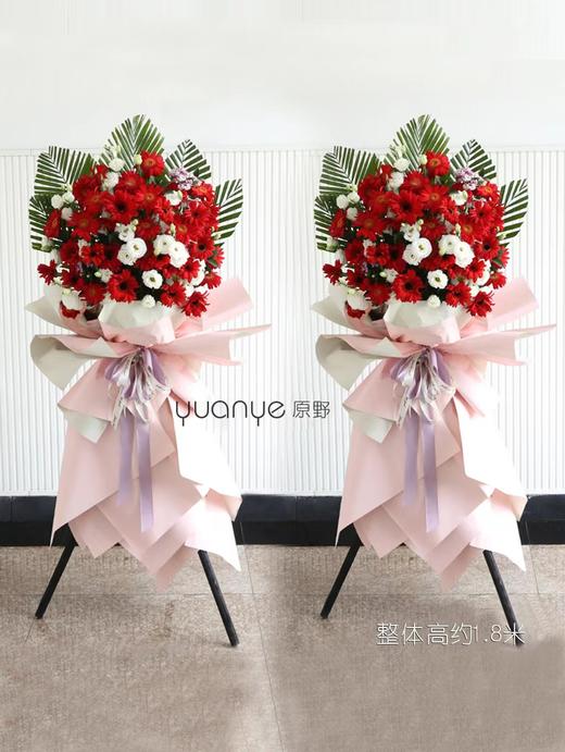开业花篮（单个价格） 商品图0