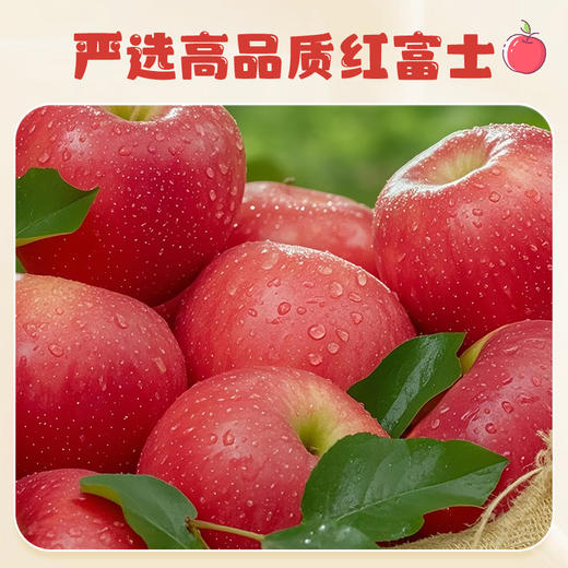 雷允上苹果膏120g（10g*12条）/盒 商品图8