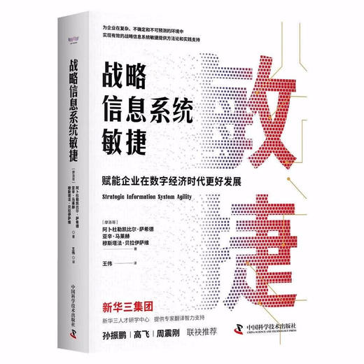 战略信息系统敏捷：赋能企业在数字经济时代更好发展（精装典藏版） 商品图2