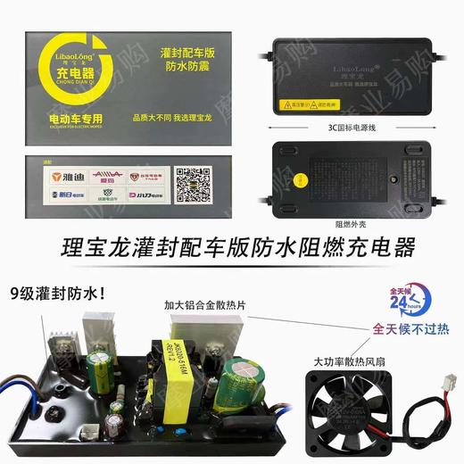 理宝龙灌胶版充电器 商品图1
