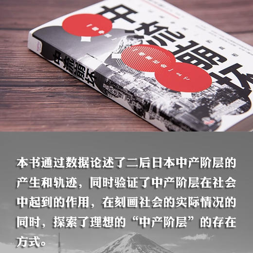 中流崩坏：探寻日本中产的分化与跌落困境 商品图2