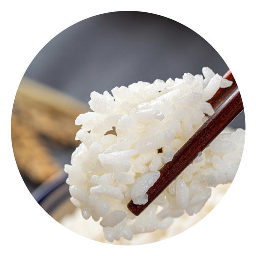 五常大米有机大米5kg 商品图4