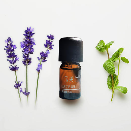 正安优选·山茶艾护精油  草本精华 呵护肌肤 商品图2