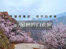 【凤凰岭白虎涧1日】 | 北京版桃花岛の凤凰岭-白虎涧后花园9公里穿越