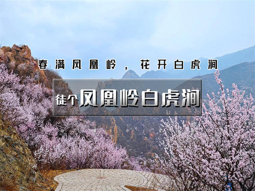 【凤凰岭白虎涧1日】 | 北京版桃花岛の凤凰岭-白虎涧后花园9公里穿越 商品图0