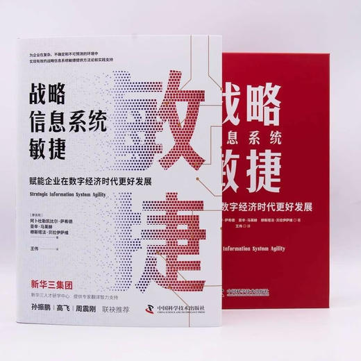 战略信息系统敏捷：赋能企业在数字经济时代更好发展（精装典藏版） 商品图1