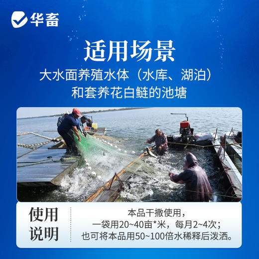 双效肽肥可肥水 可代替饲料 生物饵料 补充碳源 平衡藻相 肥水肥鱼 商品图4