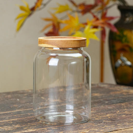 璃韵陈皮罐/装陈皮储存罐高硼硅玻璃密封储物罐茶叶鱼胶花茶防潮罐 商品图2