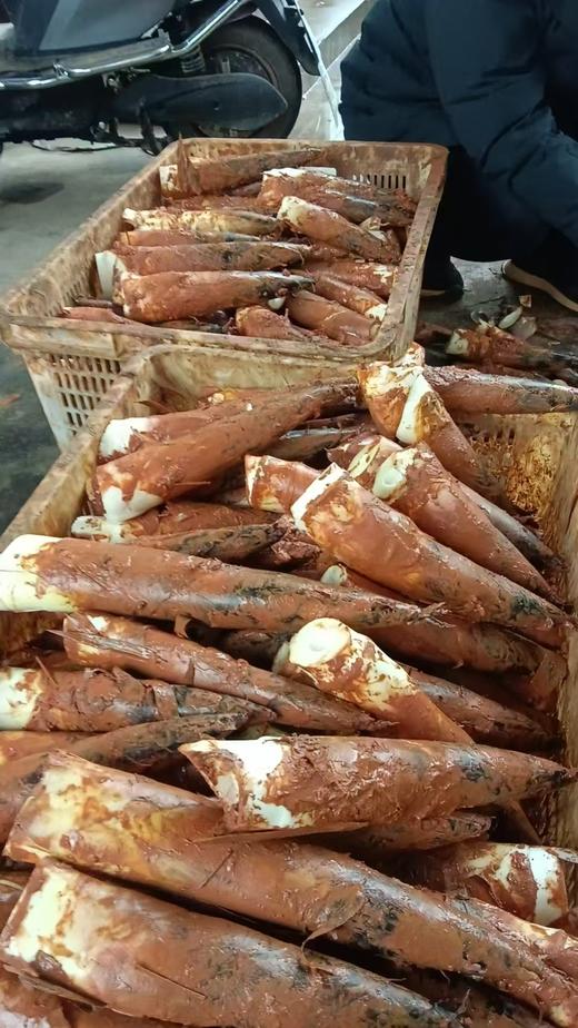 临安雷笋 商品图0