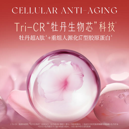 【会员购物送10倍积分】花皙蔻牡丹盛世美颜淡纹精华霜50g 商品图2