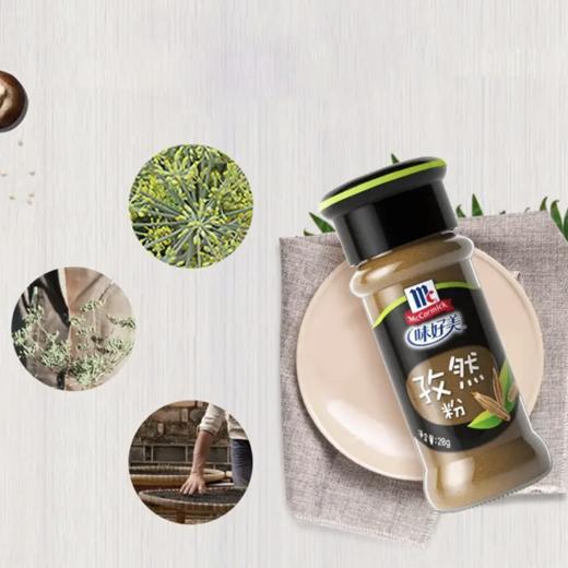 味好美孜然粉 28g 商品图3