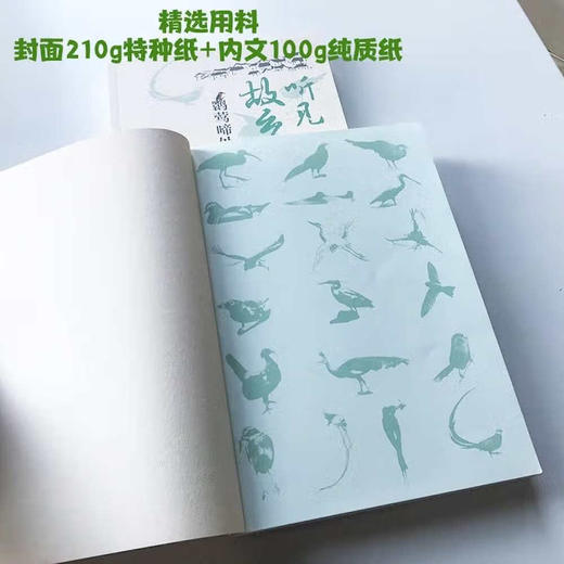 听见故乡：鹮莺啼处记乡愁 商品图4