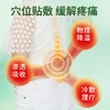 百年扁氏腰椎远红外贴 商品缩略图2