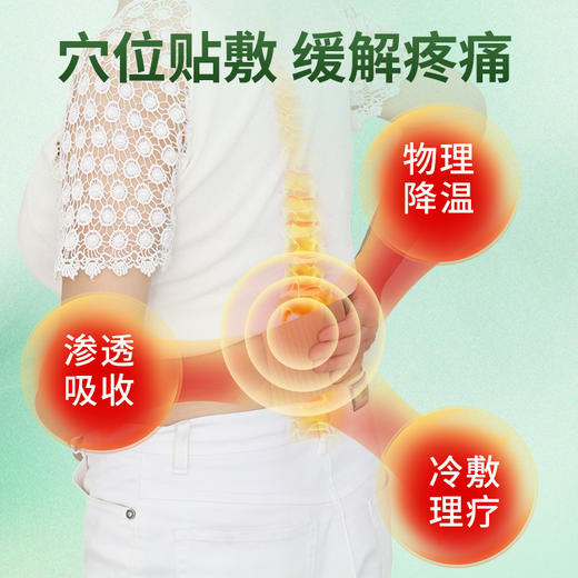 百年扁氏腰椎远红外贴 商品图2
