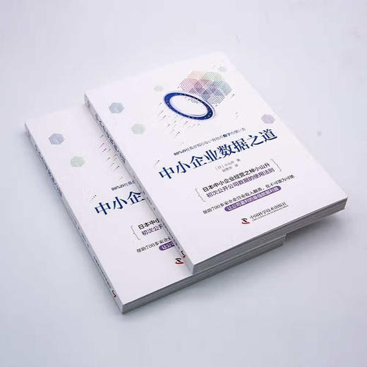 中小企业数据之道 商品图2