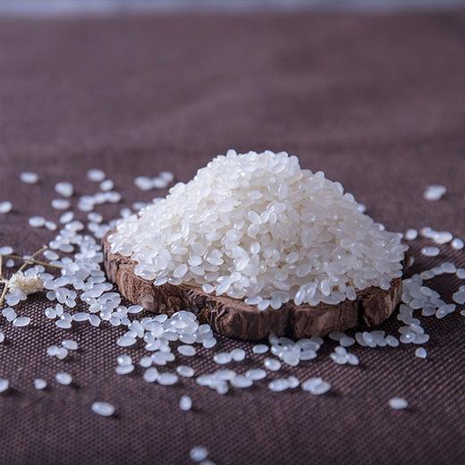 十月稻田东北大米 5kg 商品图1