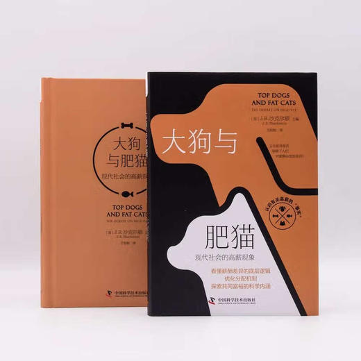 大狗与肥猫：现代社会的高薪现象 商品图3