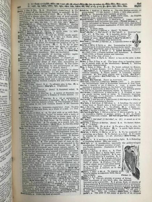1928年 实用标准英语大词典 2500幅插图 全真皮精装16开 商品图14