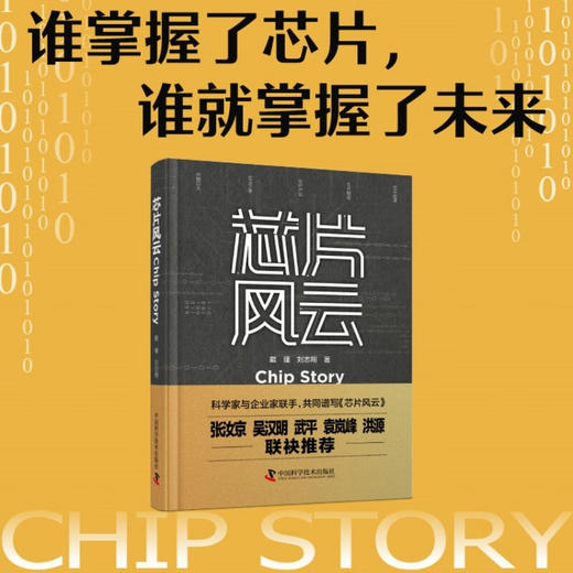 芯片风云：芯片的前世今生、芯片产业与国家竞争及中国芯片之路 商品图0