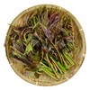 椿芽 约100g/盒 香椿 商品缩略图3