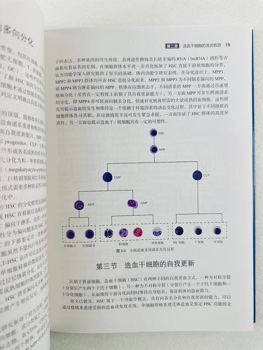 流式细胞术血液学应用 商品图8