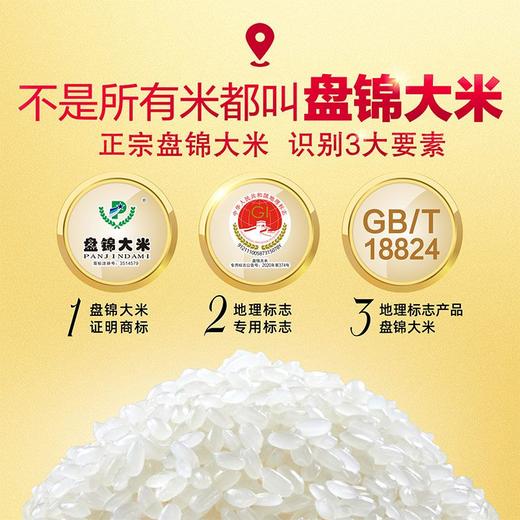 金龙鱼盘锦大米 5kg 商品图4