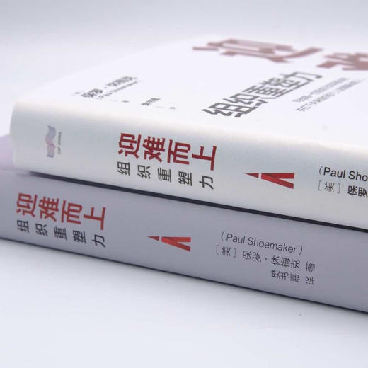 迎难而上:组织重塑力（精装典藏版） 商品图3