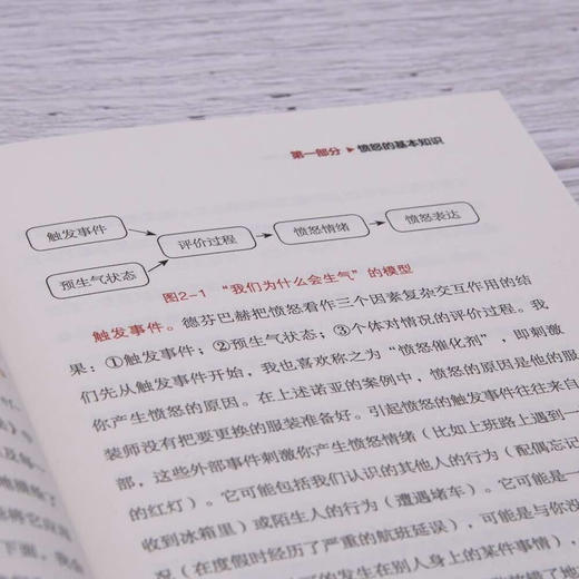 为什么我们会生气（剖析生气的原理，理解生气背后的隐藏情绪，理论版《别生气啦》，让你不被情绪掌控而是驾驭情绪的心理疗愈书） 商品图5