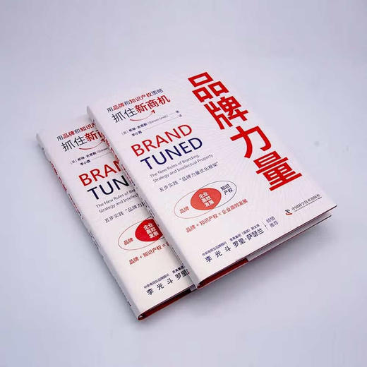 品牌力量：用品牌和知识产权策略抓住新商机（精装典藏版） 商品图4