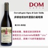 多娜佳塔加布里园白葡萄酒 Donnafugata Vigna di Gabri 商品缩略图0
