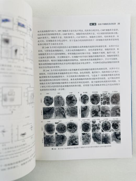 流式细胞术血液学应用 商品图6
