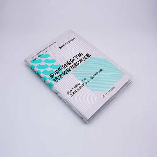 多边平台视角下的技术转移与技术交易   “十四五”时期国家重点出版物出版专项规划项目（精装典藏版） 商品图2